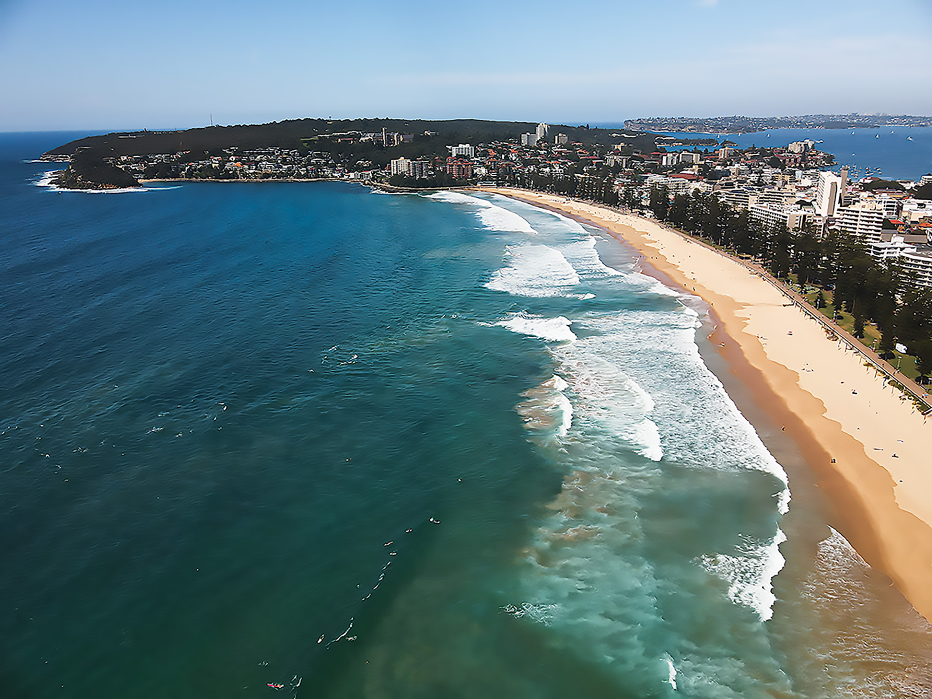 Manly Beach
